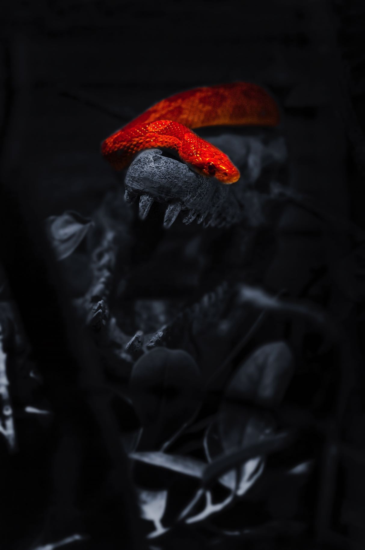 _MIG5682-01